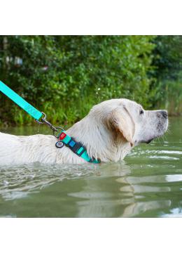 Collar WauDog Waterproof Ошейник Флуоресцентный с QR-Паспортом Пластик