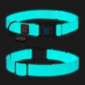 Изображение 1 - Collar WauDog Waterproof Ошейник Флуоресцентный с QR-Паспортом Пластик