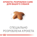 Изображение 1 - Royal Canin Adult Beagle