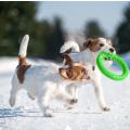 Изображение 1 - Pitchdog Кольцо для Собак