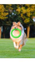 Pitchdog Кольцо для Апортировки 28 см
