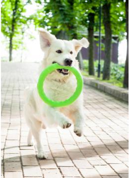 Pitchdog Кольцо для Апортировки 28 см