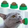 Изображение 1 - AnimAll TastyVit Cat Лизун витаминизированный с мататаби
