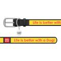 Изображение 1 - Collar WauDog Design Life is Better с qr паспортом чорный