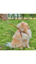 Collar WauDog Soft Шлея - поводок з qr паспортом,коричневая