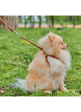 Collar WauDog Soft Шлея - поводок з qr паспортом,коричневая