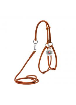 Collar WauDog Soft Шлея - поводок з qr паспортом,коричневая