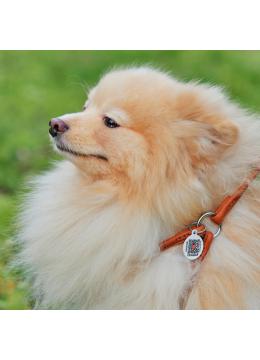 Collar WauDog Soft Шлея - поводок з qr паспортом,коричневая