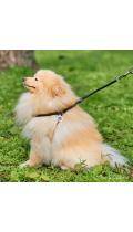 Collar WauDog Soft Шлея - поводок з qr паспортом,черная