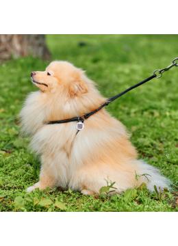 Collar WauDog Soft Шлея - поводок з qr паспортом,черная