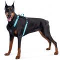 Изображение 1 - Collar Waudog Nylon Анатомичная шлея з qr паспортом голубая