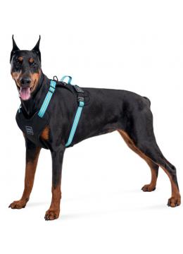 Collar Waudog Nylon Анатомичная шлея з qr паспортом голубая