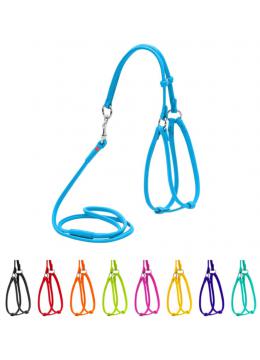 Collar WauDog Glamour Шлея - поводок з qr паспортом,XXS