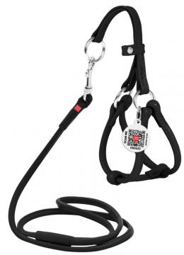 Collar WauDog Glamour Шлея - поводок з qr паспортом,XXS