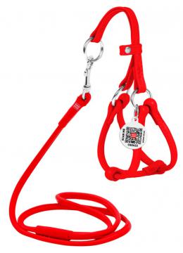 Collar WauDog Glamour Шлея - поводок з qr паспортом,XXS