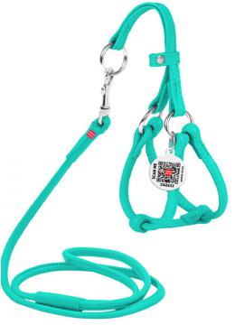 Collar WauDog Glamour Шлея - поводок з qr паспортом,XXS