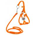 Изображение 1 - Collar WauDog Glamour Шлея - поводок з qr паспортом,XXS