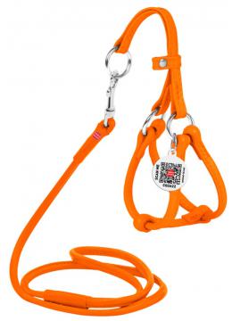 Collar WauDog Glamour Шлея - поводок з qr паспортом,XXS