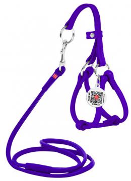 Collar WauDog Glamour Шлея - поводок з qr паспортом,XXS