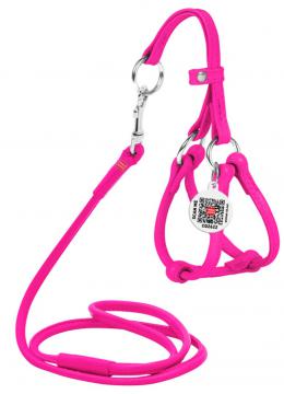 Collar WauDog Glamour Шлея - поводок з qr паспортом,XXS