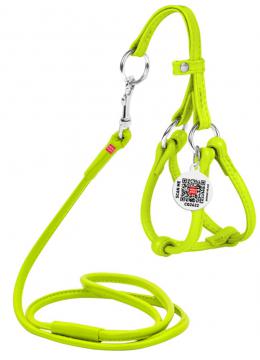 Collar WauDog Glamour Шлея - поводок з qr паспортом,XXS