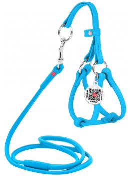 Collar WauDog Glamour Шлея - поводок з qr паспортом,XXS