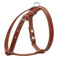 Изображение 1 - Collar Шлея одинарная с кожи, коричневая