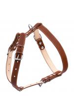 Collar Шлея двойная из кожи