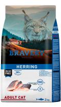 Bravery Herring Adult Cat