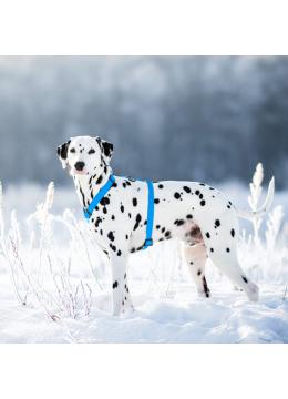 Collar Waudog Waterproof Шлея анатомическая Н-образная Блакитна