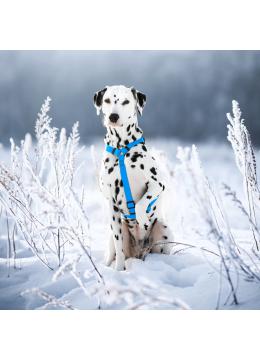 Collar Waudog Waterproof Шлея анатомическая Н-образная Блакитна