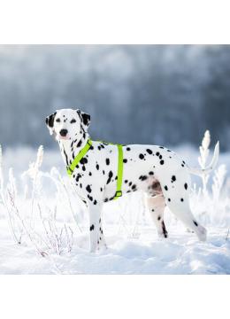 Collar Waudog Waterproof Шлея анатомическая Н-образная Салатовая