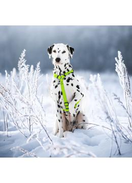 Collar Waudog Waterproof Шлея анатомическая Н-образная Салатовая