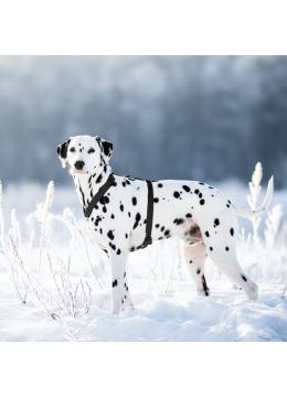 Collar Waudog Waterproof Шлея анатомическая Н-образная Черная