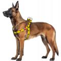Изображение 1 - Collar WauDog Nylon Супермен 2 нейлоновая шлея