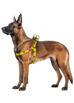Collar WauDog Nylon Супермен 2 нейлоновая шлея