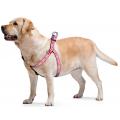 Изображение 1 - Collar WauDog Nylon Чудо-женщина 1 нейлоновая шлея