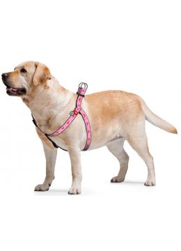 Collar WauDog Nylon Чудо-женщина 1 нейлоновая шлея