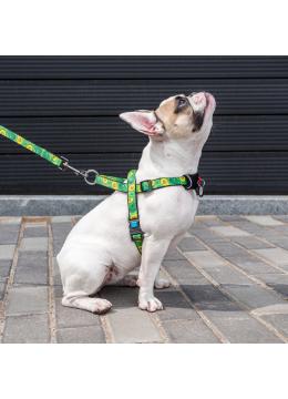 Collar WauDog Nylon Авокадо нейлоновая быстросъемная шлея