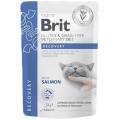 Изображение 1 - Brit Veterinary Diet Cat GF Recovery пауч с лососем