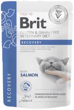 Brit Veterinary Diet Cat GF Recovery пауч с лососем