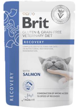 Brit Veterinary Diet Cat GF Recovery пауч с лососем