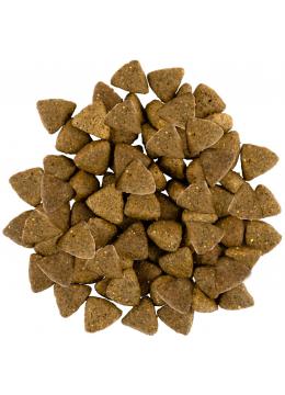 Savory Small Breeds Fresh Lamb
