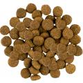 Изображение 1 - Savory Junior Large Turkey and Chicken