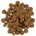 Изображение 1 - Savory Adult All Breeds Duck and Rabbit