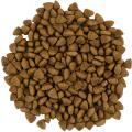 Изображение 1 - Savory Adult Cat Sensitive Digestion Lamb and Turkey