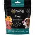 Изображение 1 - Savory crunchy snacks Puppies Lamb and Sea Buckthorn