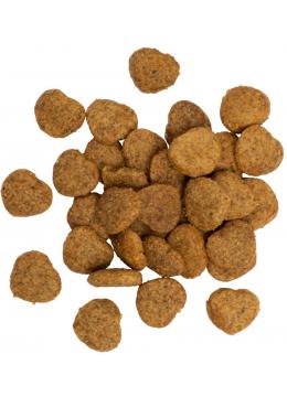 Savory Crunchy Snacks Kitten Turkey and Cranberries