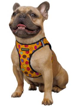 Barksi Sport Vest Шлея в расцветке пончики