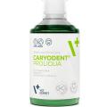 Изображение 1 - VetExpert Caryodent Proliqua Концентрированная добавка в воду